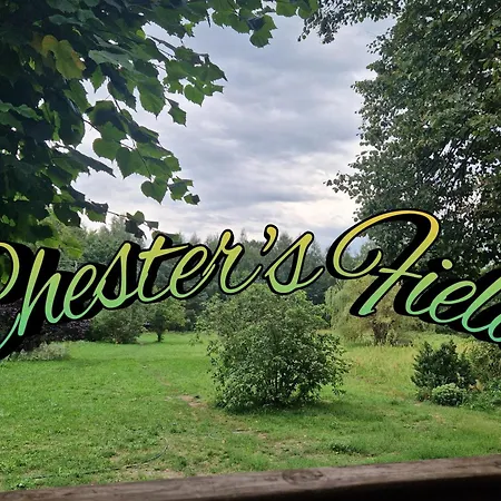 Your Genius Camp - Miejsce Na Twoj Namiot *